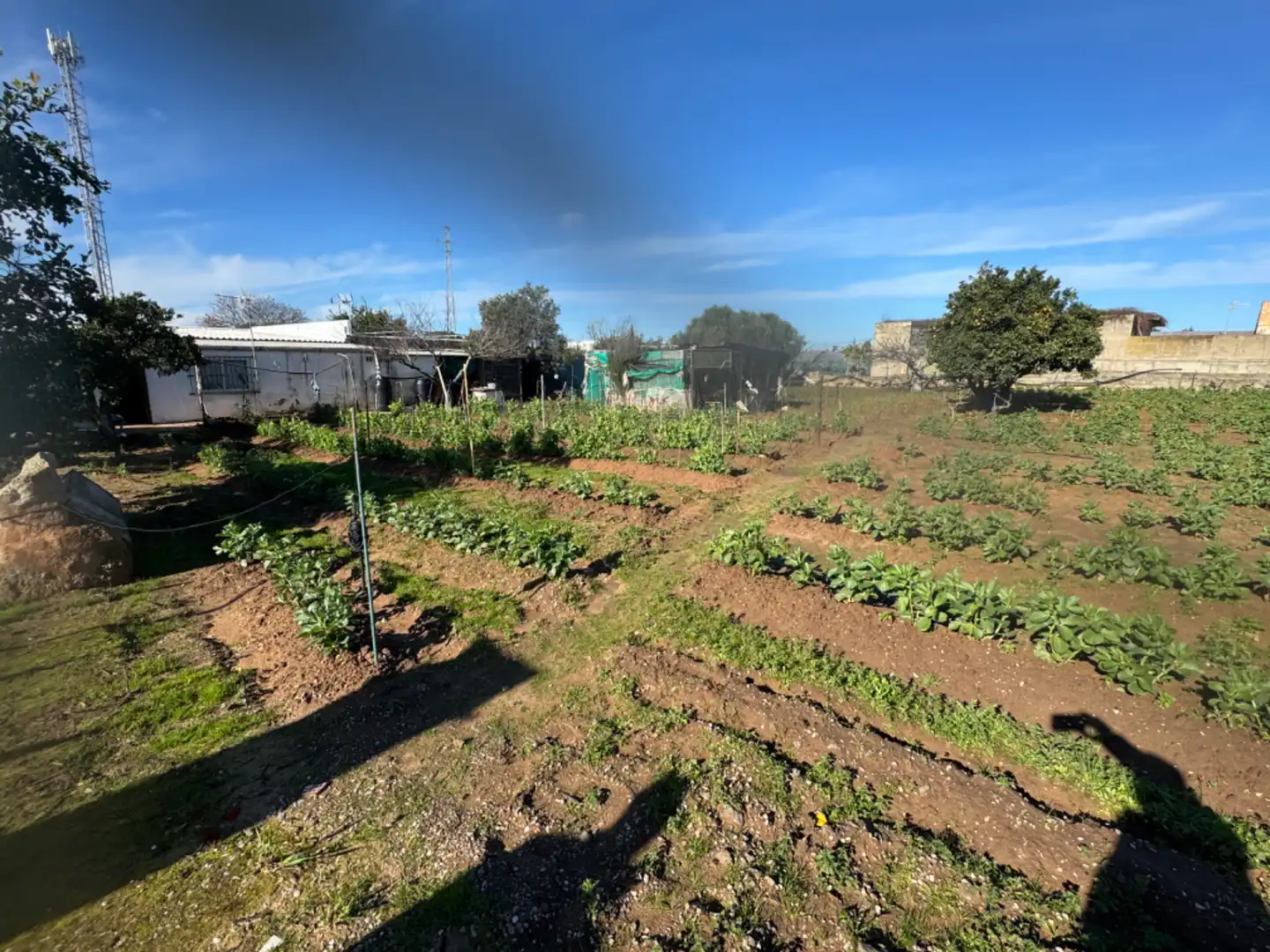 Country homes for sale in Sanlúcar de Barrameda  with Private garden, Terrace and Storage room