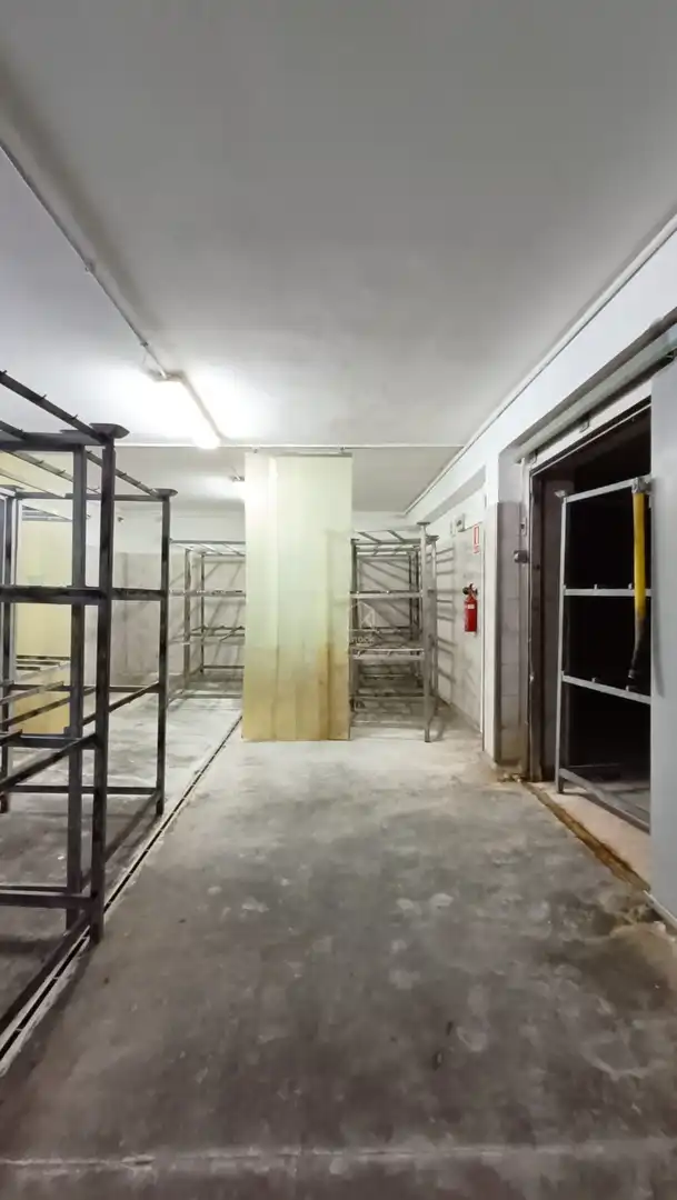 Fabrikhallen zum Verkauf in Tineo