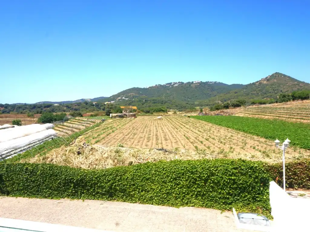 Houses for sale in Pineda de Mar