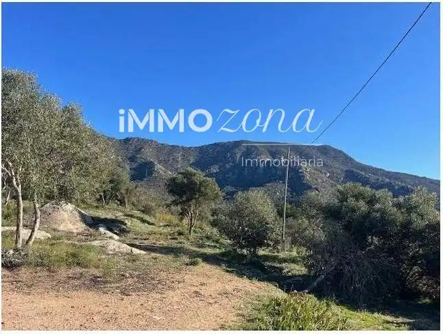 Grundstücke zum Verkauf in Montilivi