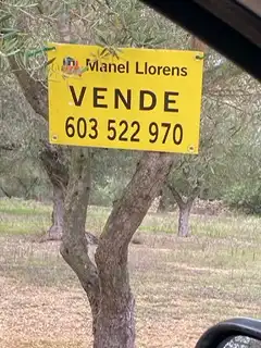 Terreny rústic en venda a San Rafael del Río, imagen 15
