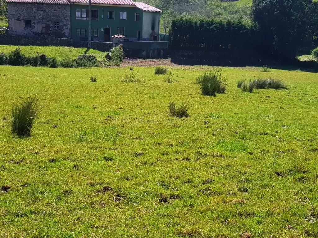 Residencial en venda en Villaviciosa