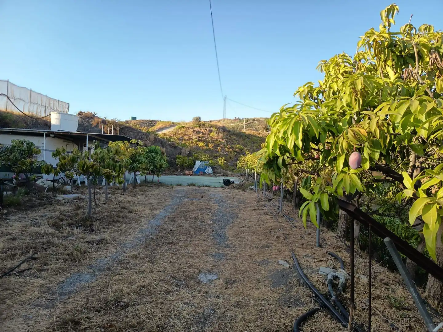Terrenys i solars en venda a Canillas de Aceituno, imagen 33