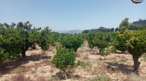 Foto 5 de Finca rústica en venda a Calle Molí Primer, La Font d'en Carròs, Valencia
