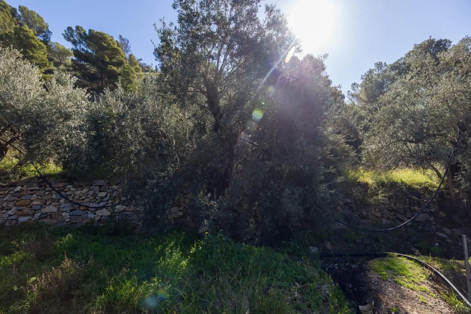 Rustikales Grundstück zum Verkauf in BARRANCO JUAN BUENO, POLIGONO 12, imagen 38