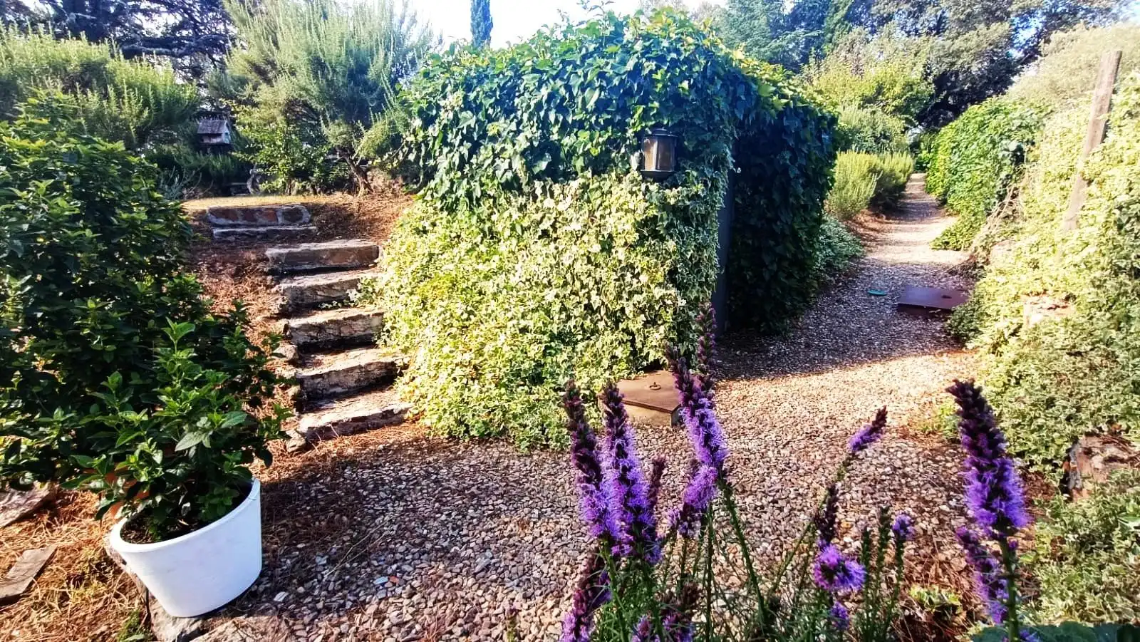 Jardí de Casa o xalet en venda en Palacios del Pan amb Calefacció, Jardí privat i Terrassa