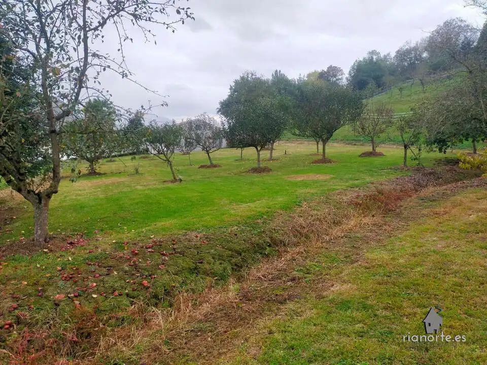 Casa o chalet en venta en Oviedo  con Calefacción y Jardín privado