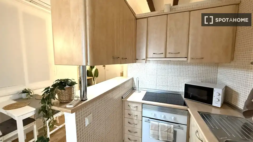 Habitació a El Raval