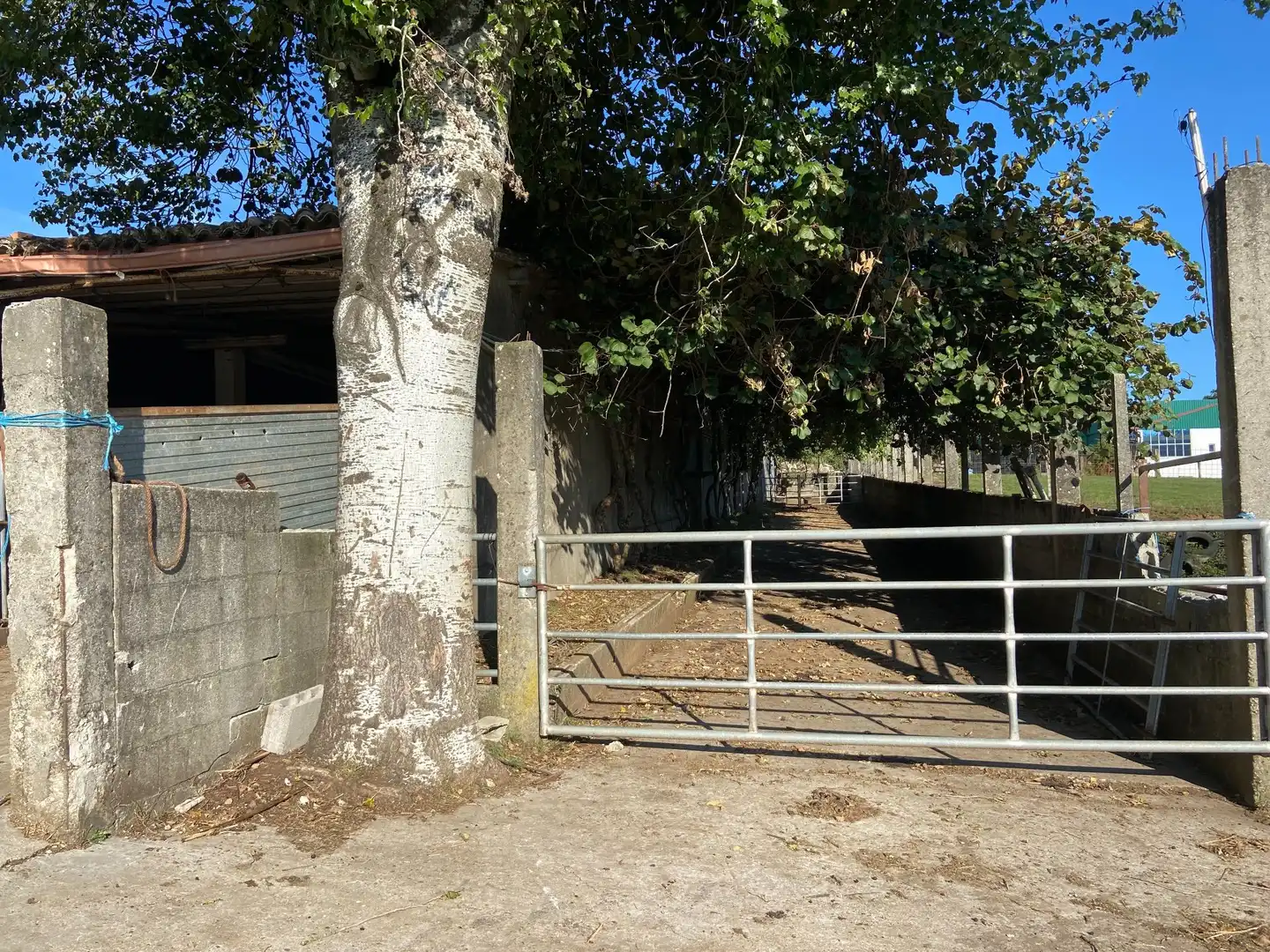 Terrenos y solares en venta en Lalín, imagen 12