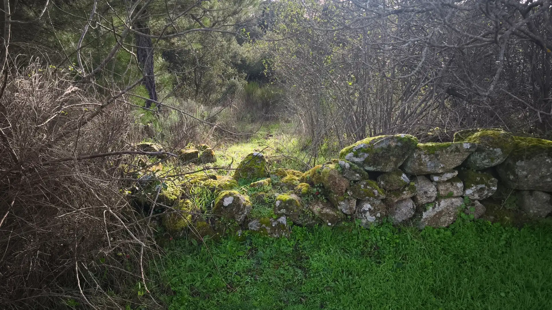 Terreni e lotti in vendita a Santa María del Tiétar, imagen 7