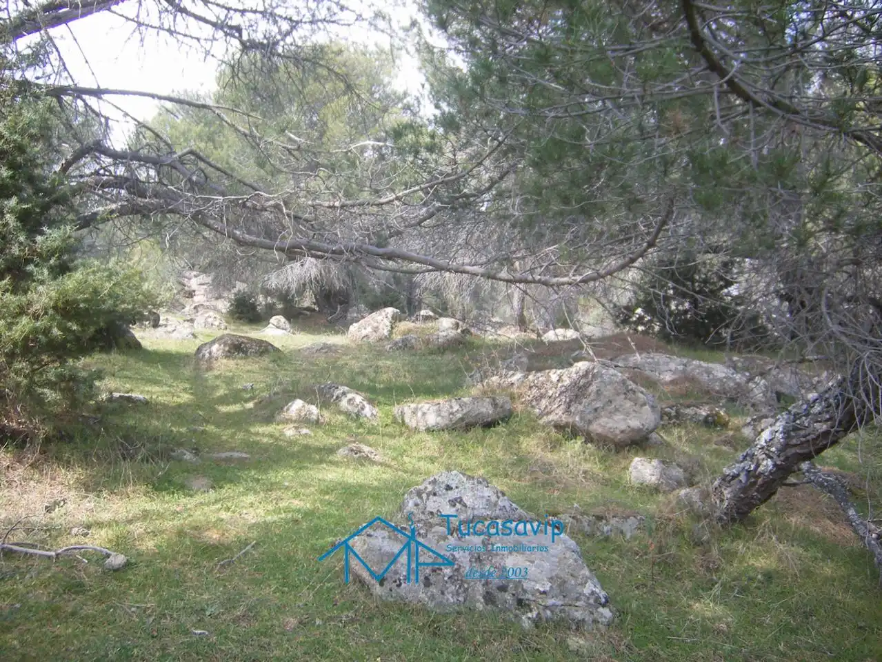 Terreni e lotti in vendita a Cebreros, imagen 14