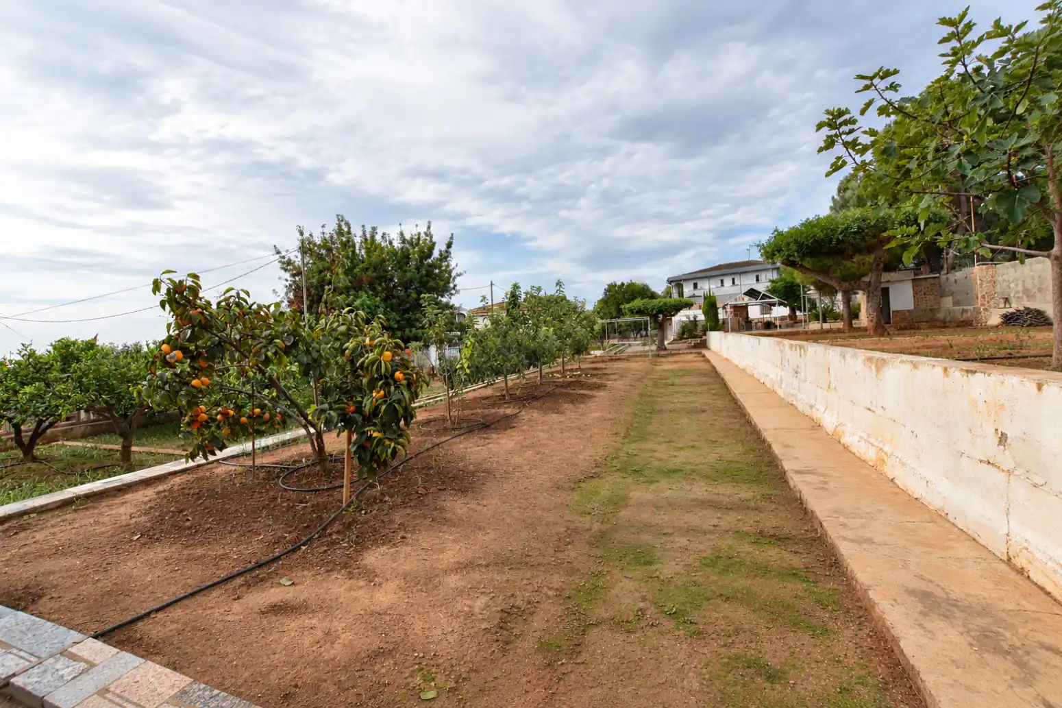 Casa con piscina in vendita a Albalat dels Tarongers - PD PLA DE PAVIA, imagen 12