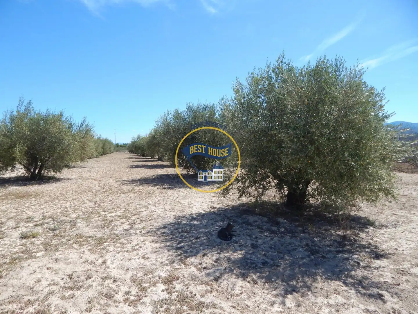 Residencial en venda en Agullent