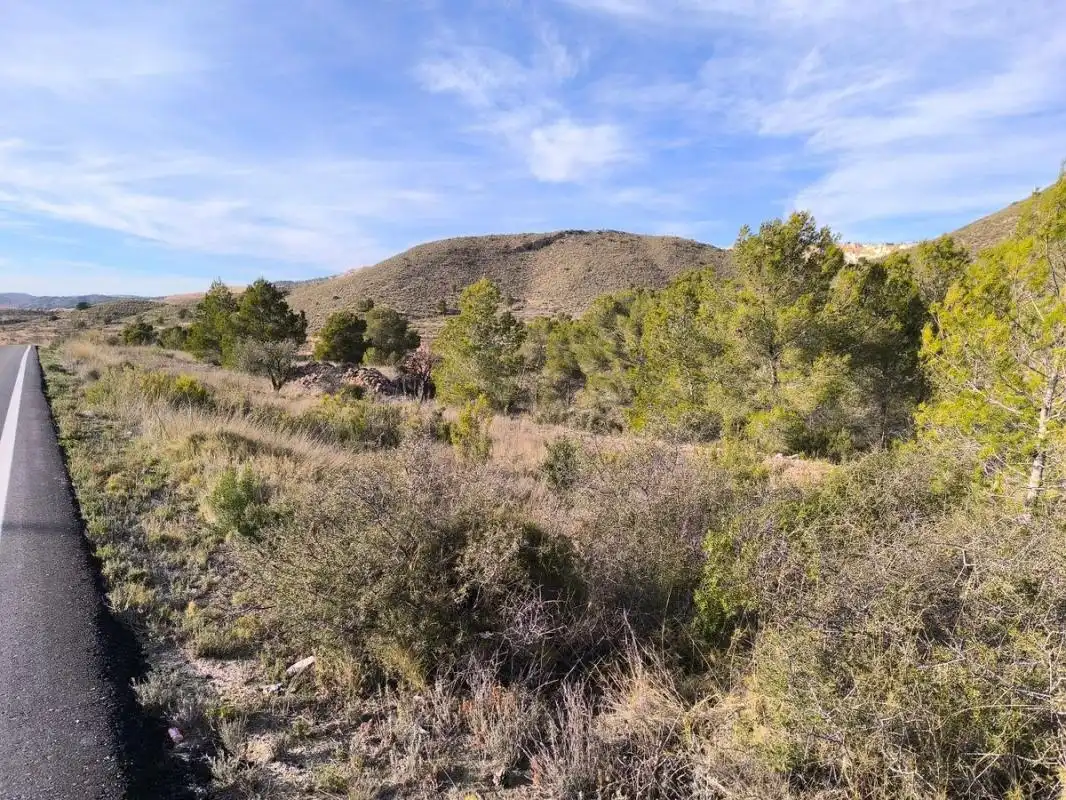 Rural land for sale in Poligono 4, parcela 190, imagen 5