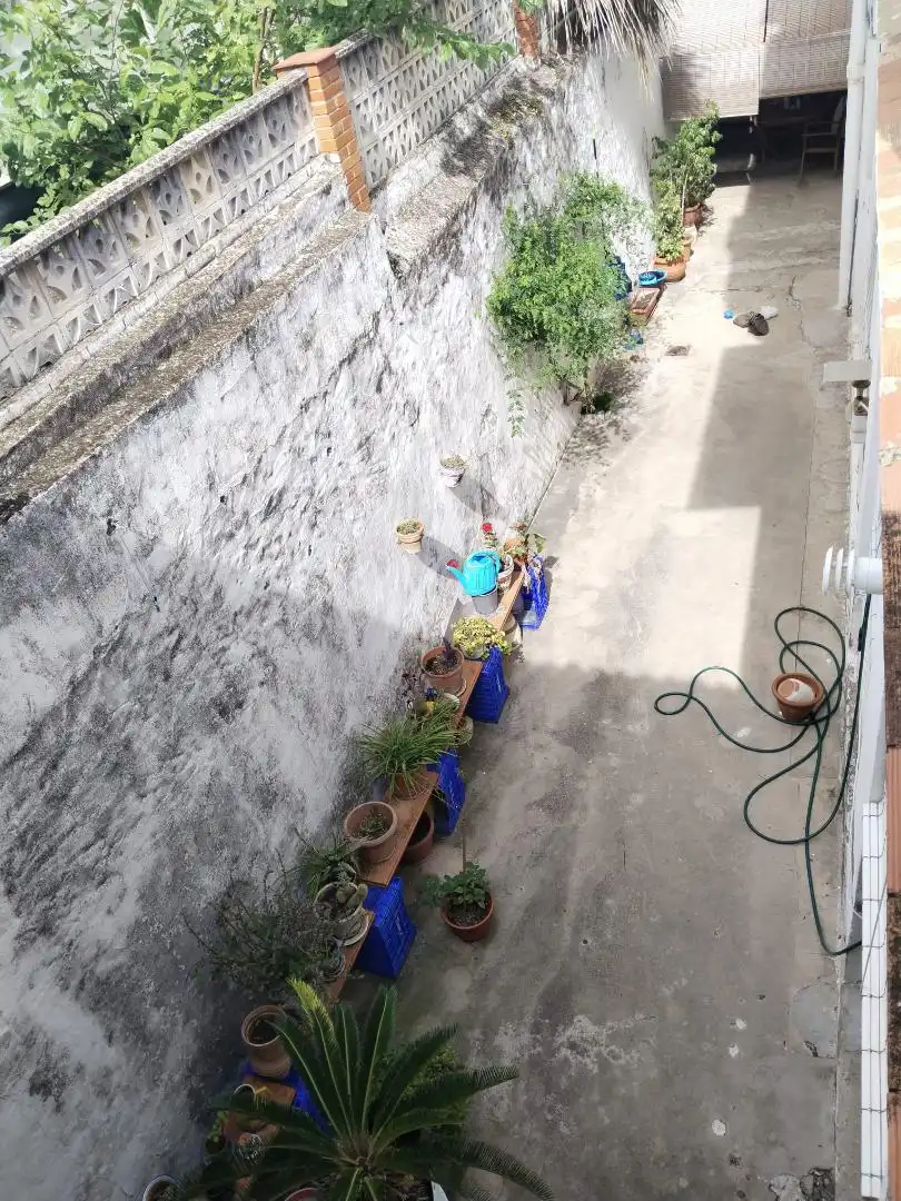 Jardín de Piso en venta en Carcaixent