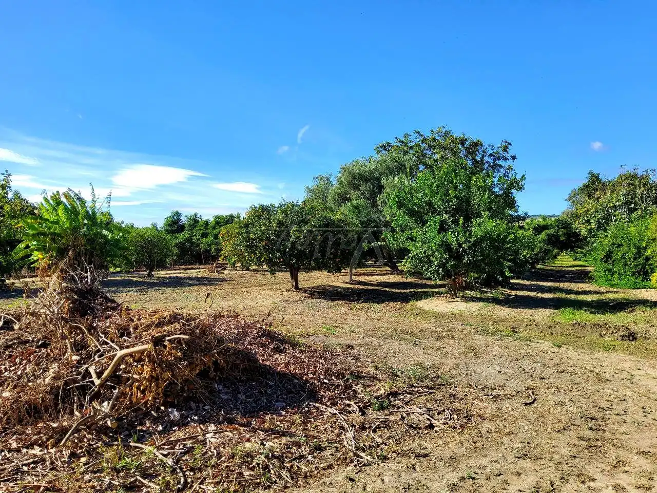 Terreni e lotti in vendita a San Enrique - Guadiaro -  Pueblo Nuevo, imagen 9