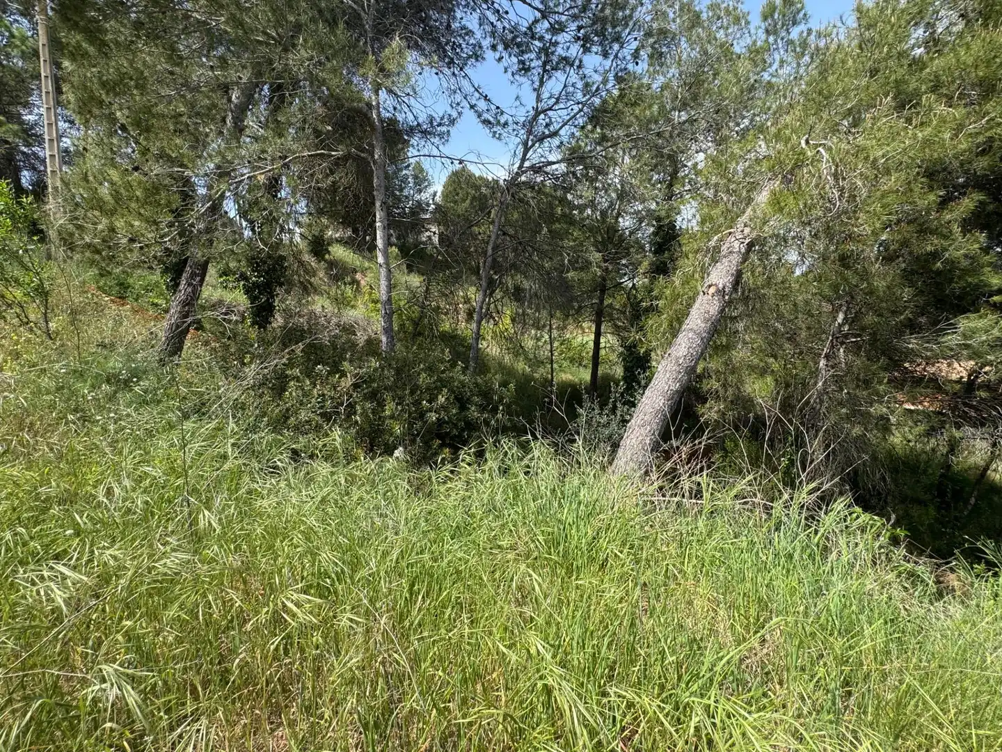 Residential land for sale in La Pobla de Claramunt, imagen 5