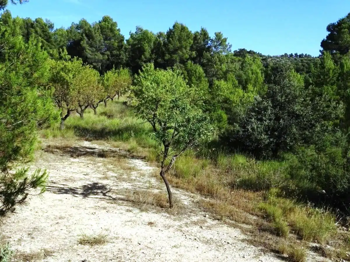 Landhaus zum Verkauf in Horta de Sant Joan, imagen 7