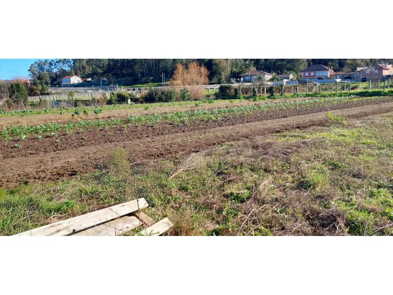 Terreno rustico in vendita a Ribadumia, imagen 8