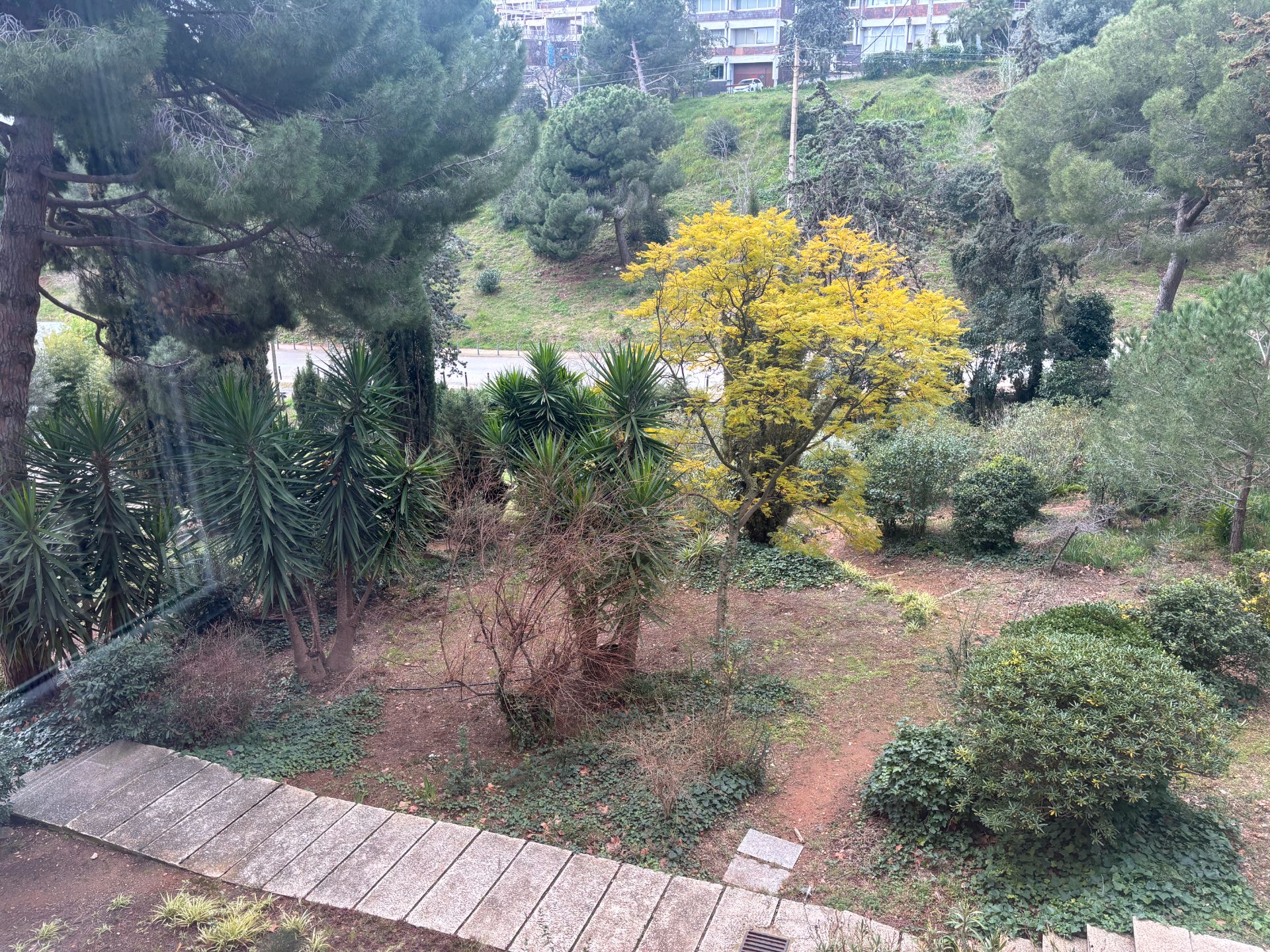 Pis de lloguer a Carrer de Collserola, Sant Gervasi i la Bonanova