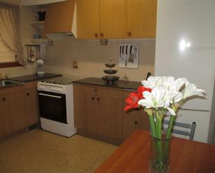 Kitchen of Flat for sale in Arbúcies  with Air Conditioner and Terrace