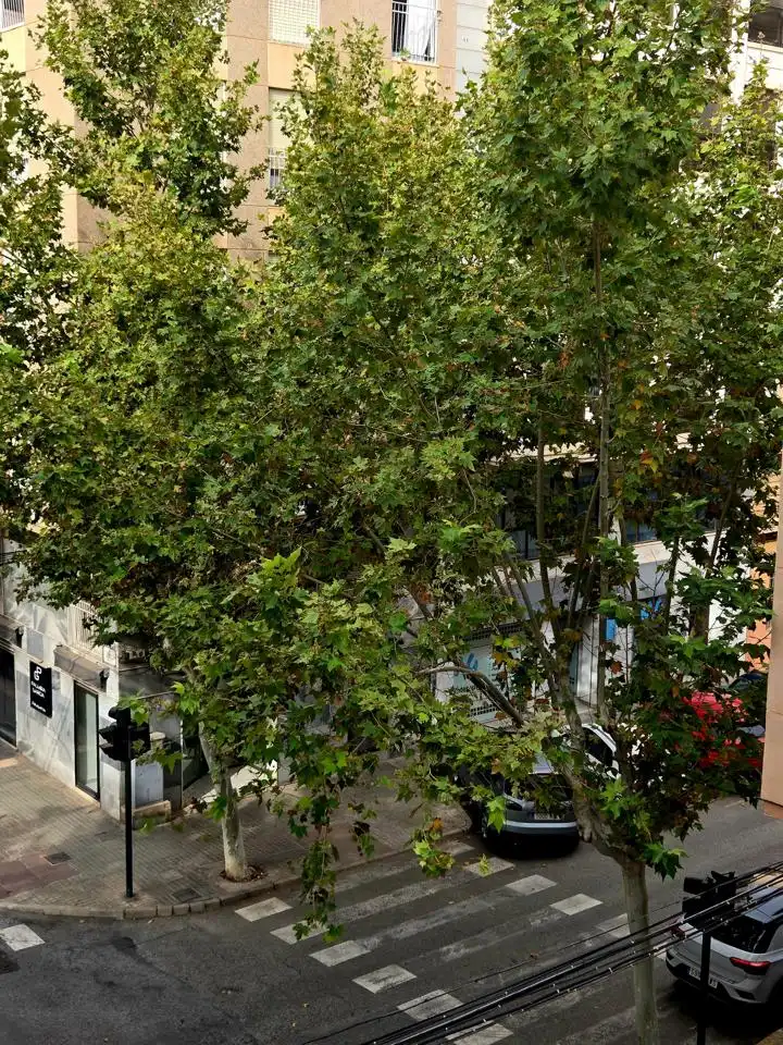 Flat for sale in Elche ciudad, imagen 42