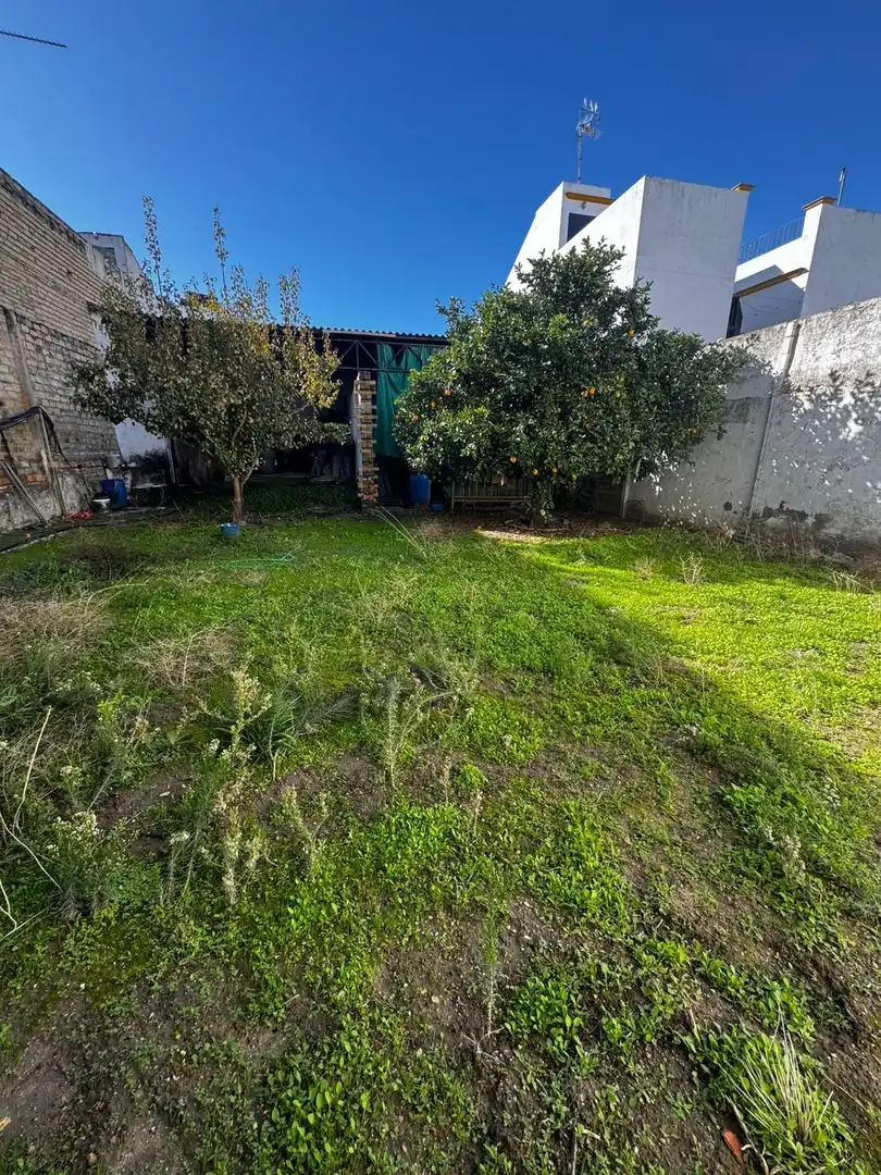 Local en venta en Arahal