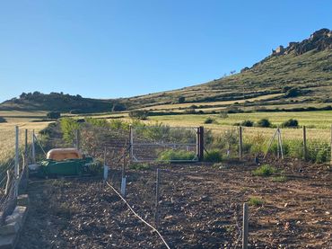 Terreno rustico in vendita a Magacela
