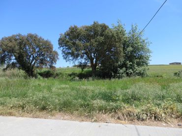 Terreno residencial en venta en Carrer Josep Trueta 49