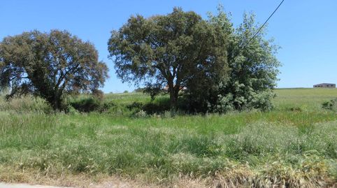 Parcela de 164m2 en Urb. les Mallorquines de Sils