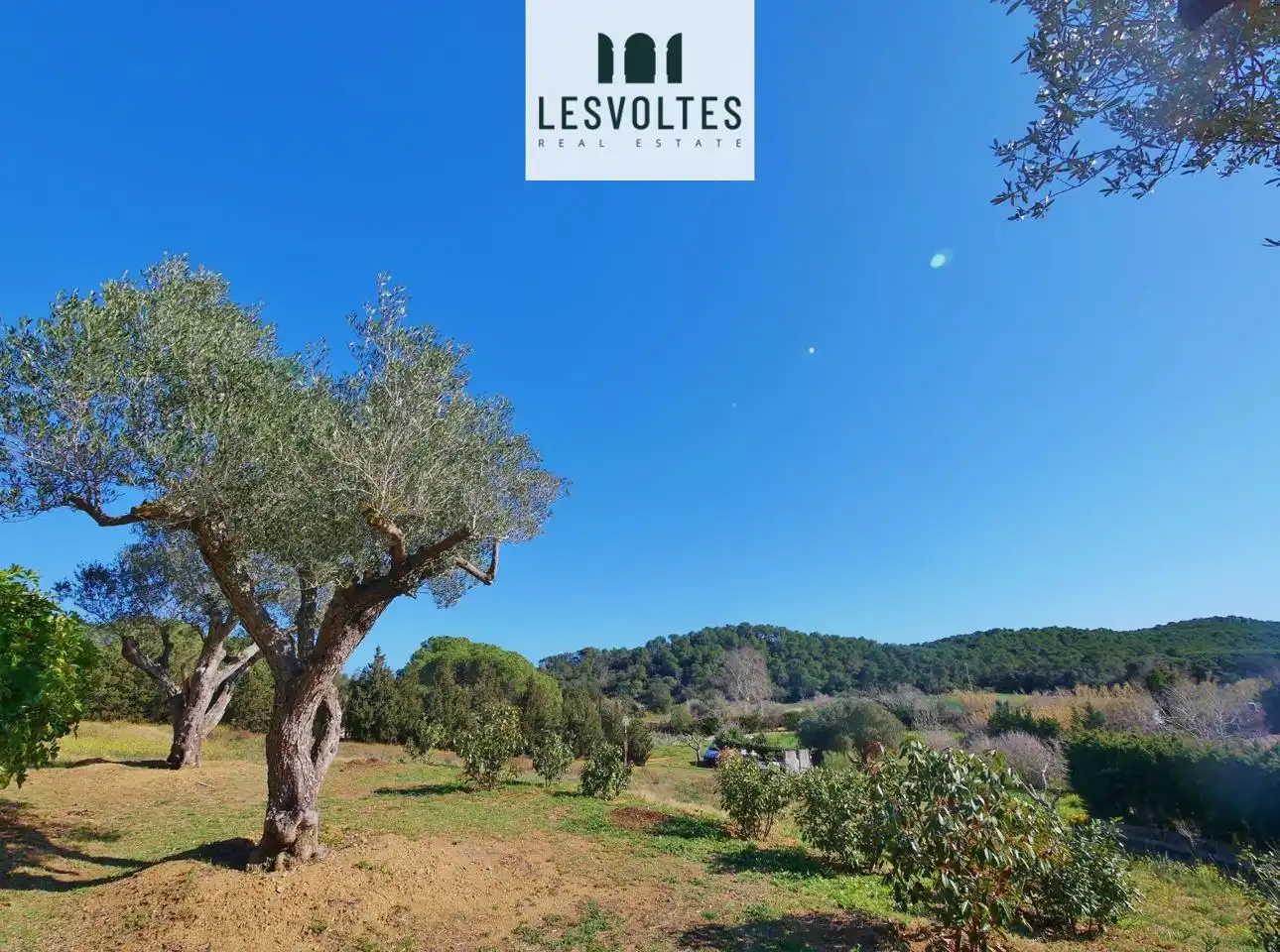 Lands and plots for sale in Camí Ral polígon 5 paecel.la, imagen 7