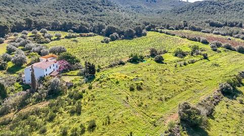 Foto 5 de Finca rústica en venta en Vila-rodona, Tarragona