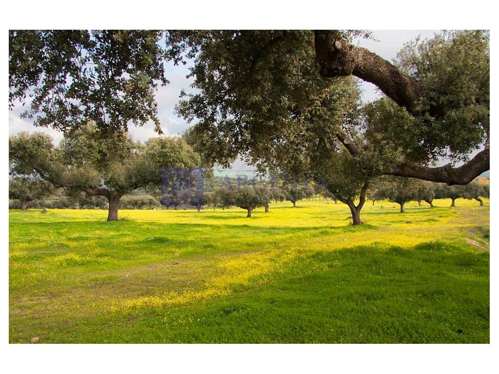 Country house for sale in Plasencia