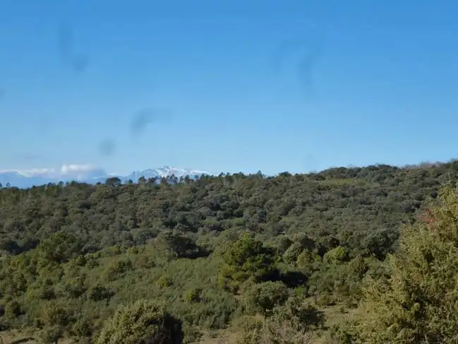 Residential for sale in El Real de San Vicente