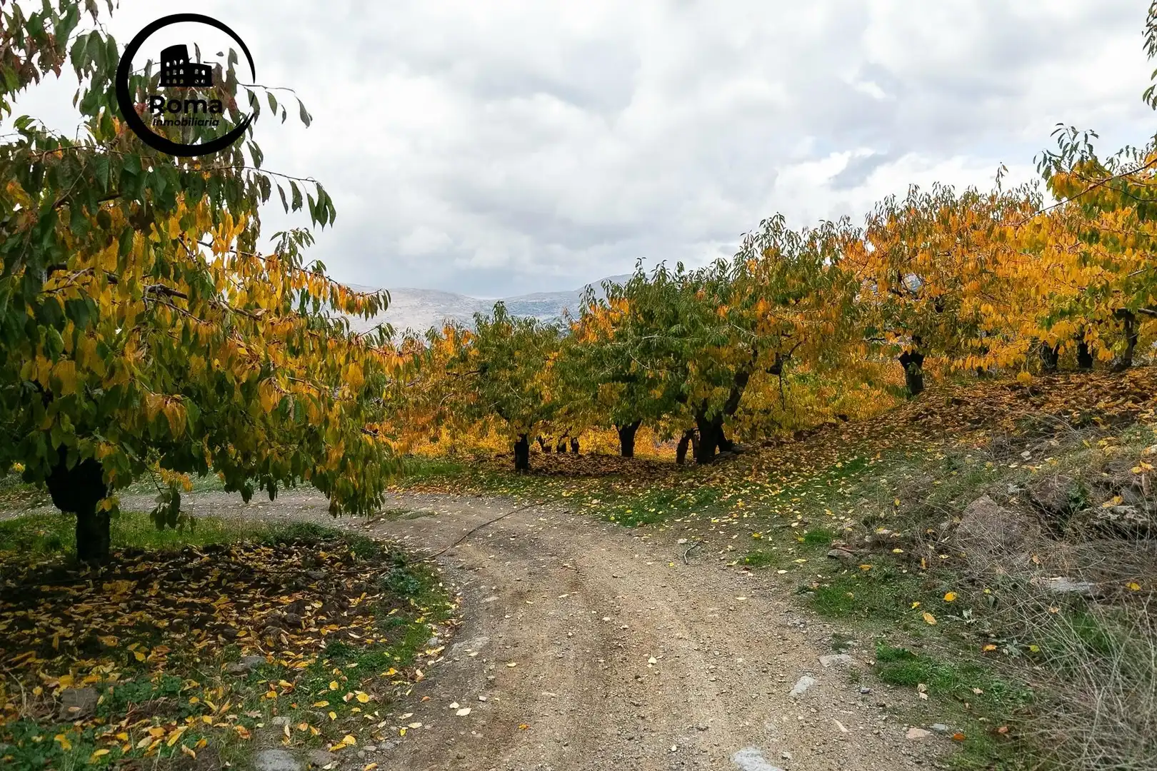 Lands and plots for sale in Güéjar Sierra, imagen 6