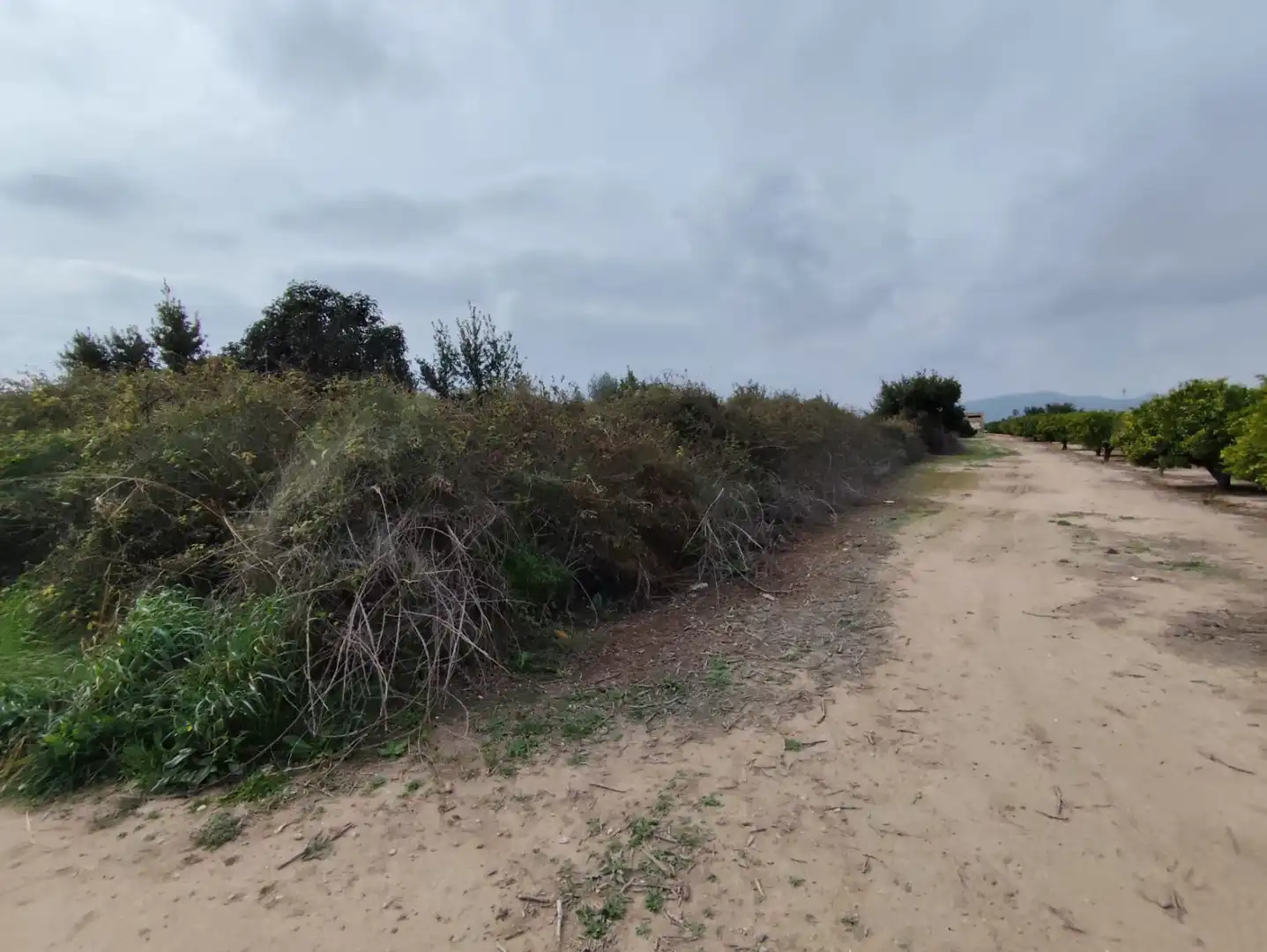 Residential for sale in Sagunto / Sagunt