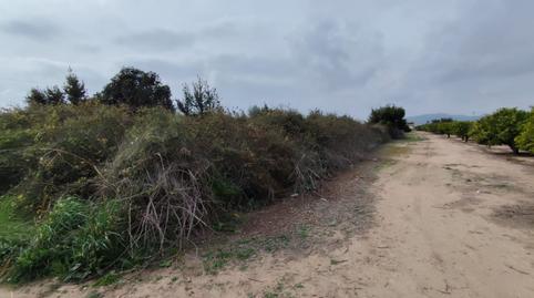 Photo 3 of Residential for sale in Sendero de Montiver, S/n, El Baladre, Sagunto / Sagunt