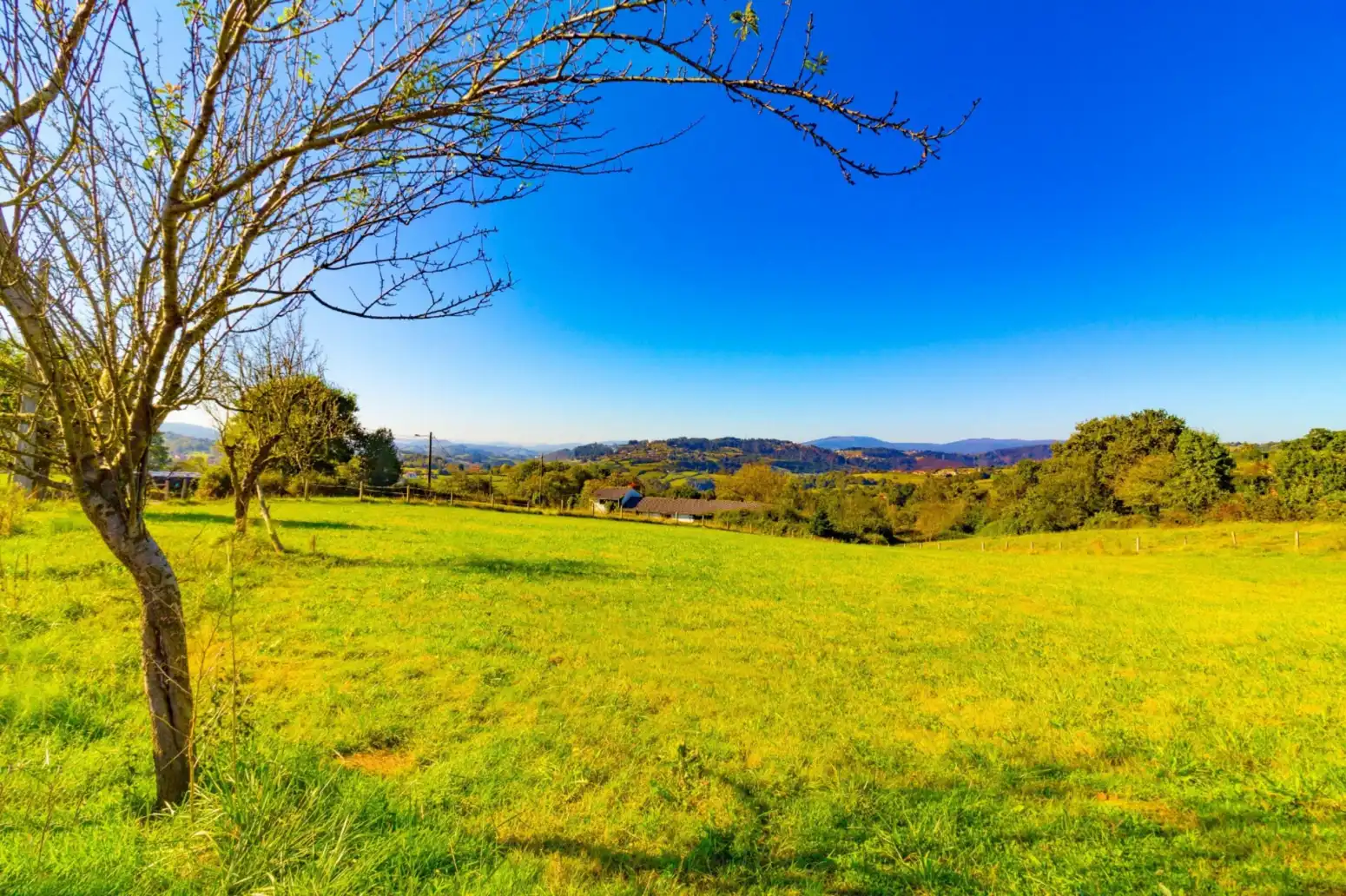 Rustikales Grundstück zum Verkauf in Oviedo - Vía Villamar, imagen 11