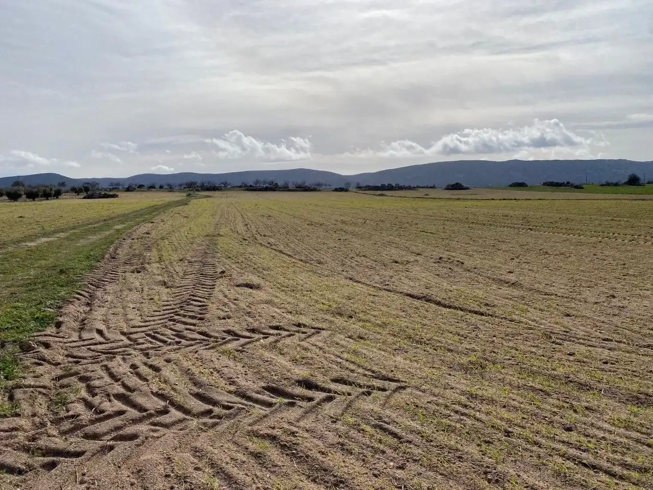 Terreno rustico in vendita a Sonseca, imagen 2