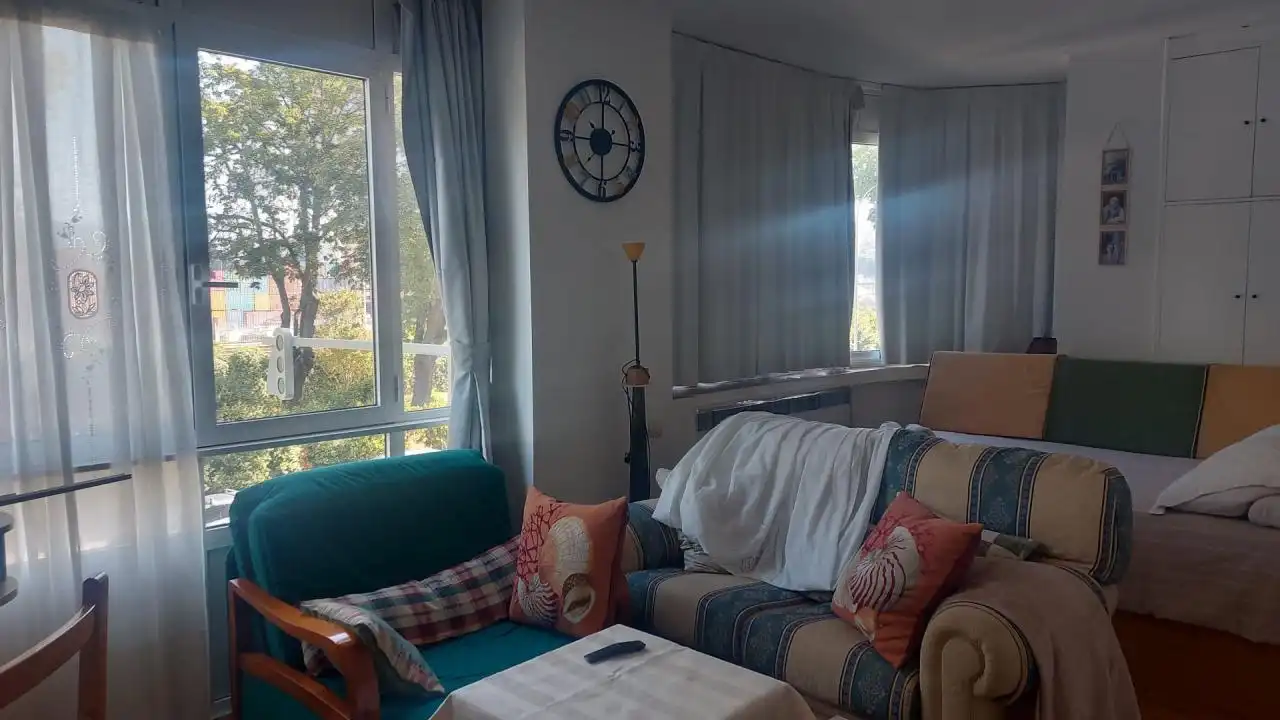 Sala d'estar de Estudi de lloguer en Vigo  amb Calefacció, Parquet i Moblat