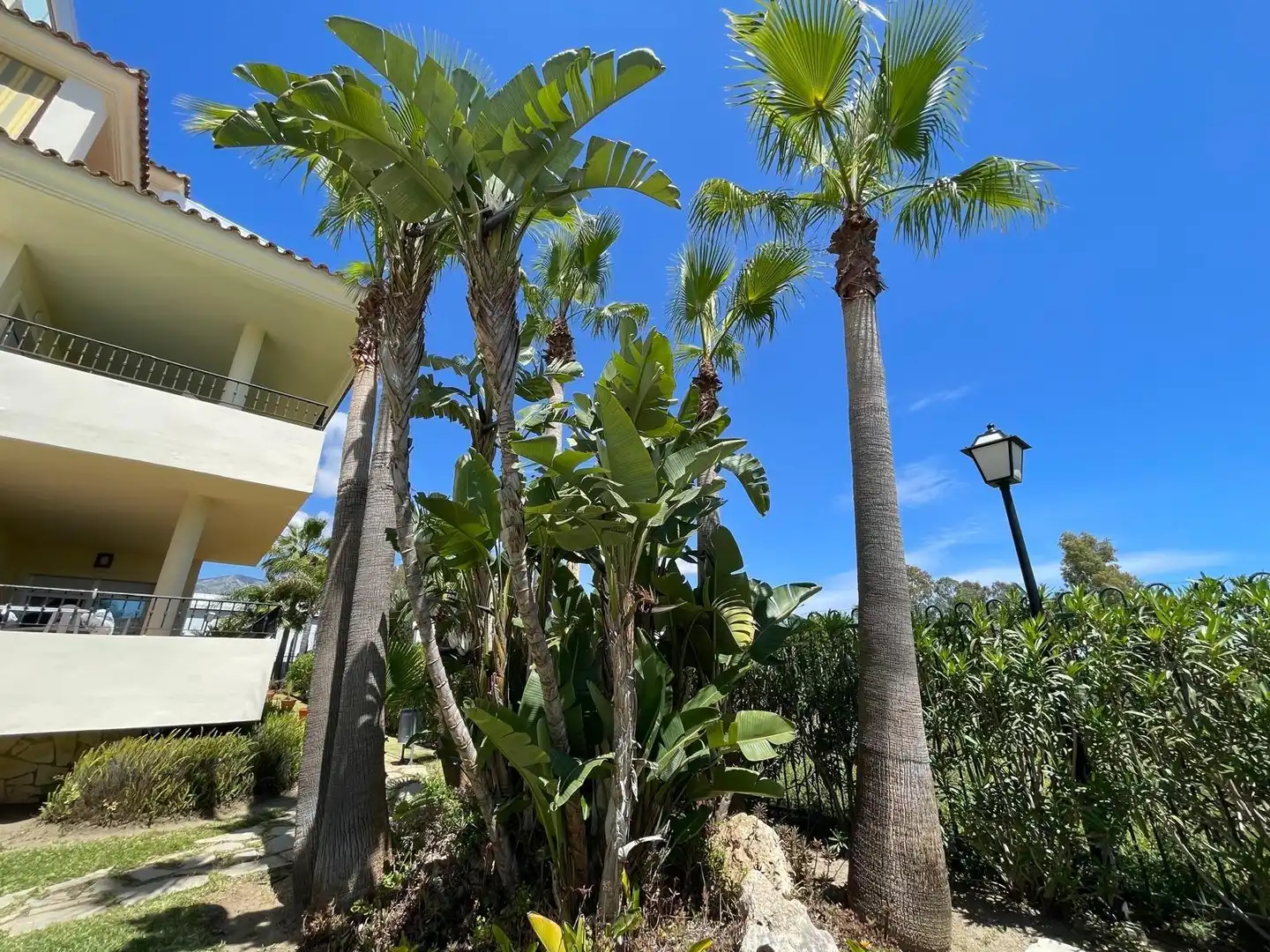 Àtic amb terrassa en venda a Mijas Golf, imagen 51
