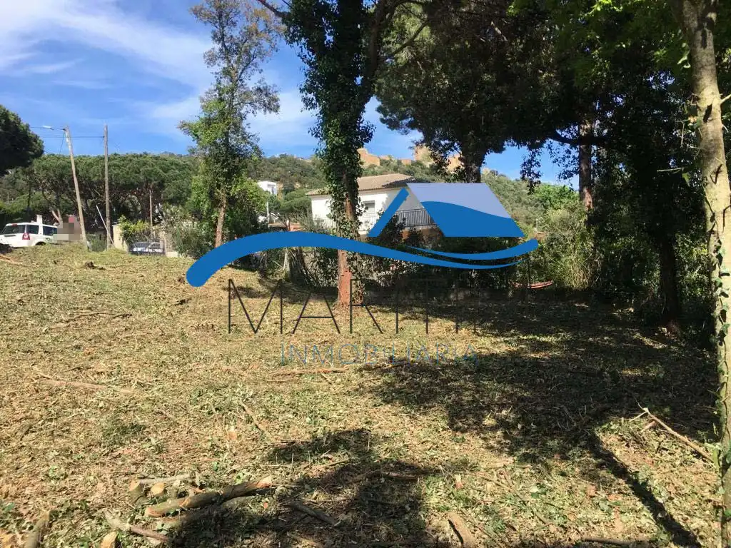 Lands and plots for sale in Carolina Coronado