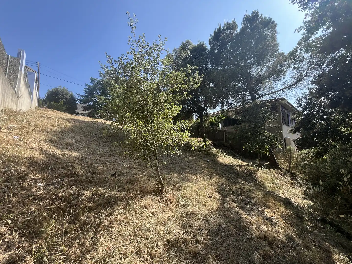Residential for sale in Talamanca