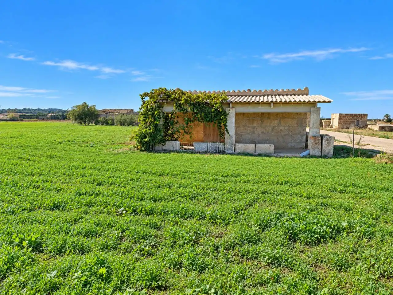 Terrain rustique à vendre à Sa Pobla, imagen 12