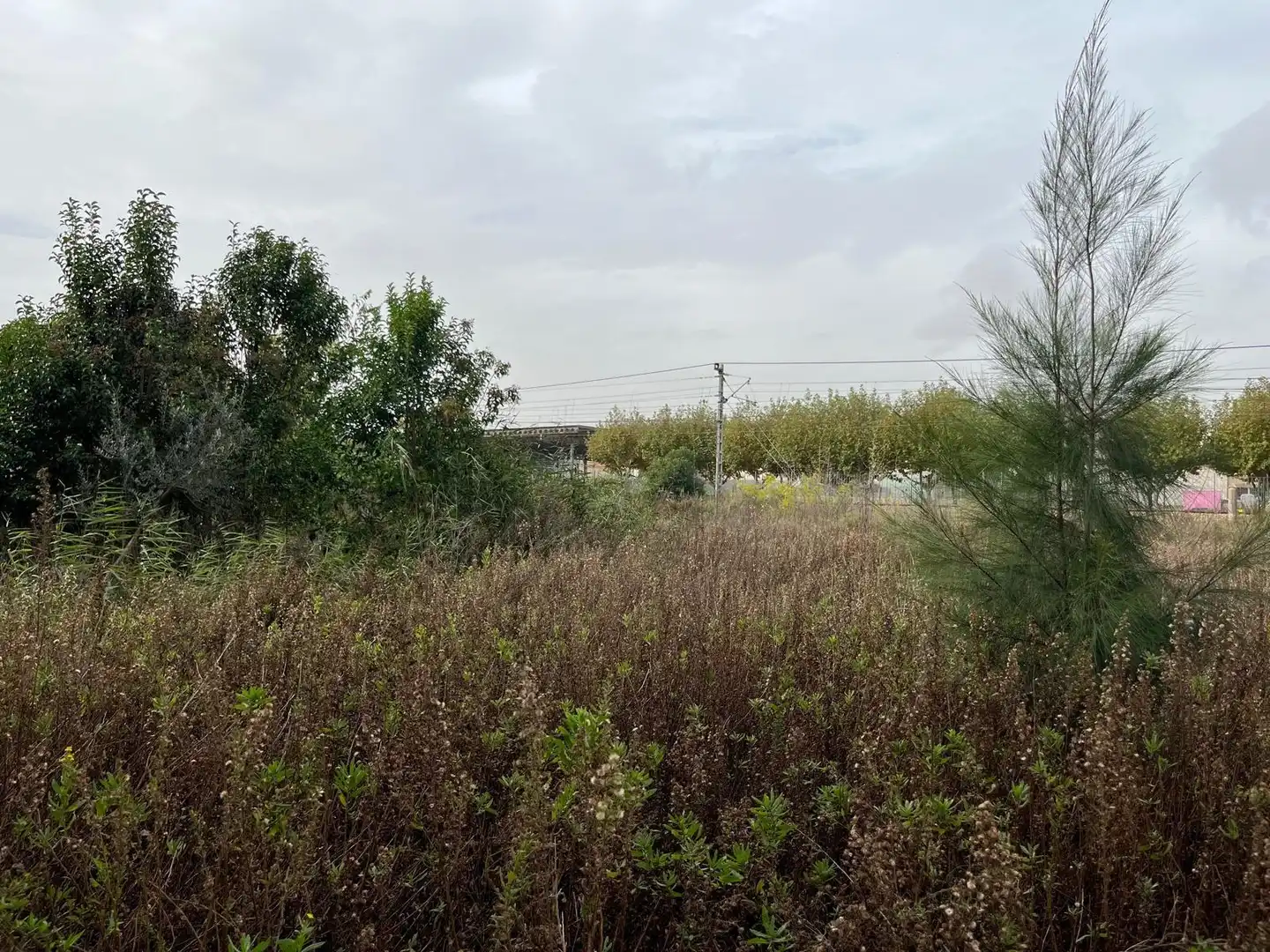 Industriegebäude zum Verkauf in Ulldecona, imagen 8