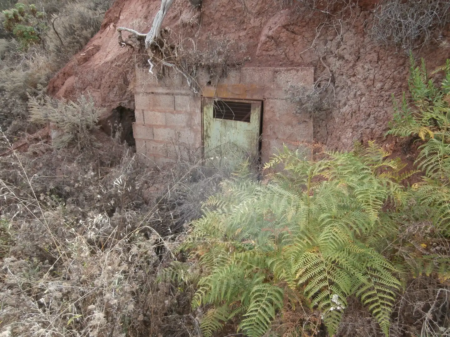 Finca rústica en venta en Camino Lomo el Marco, 41, Moya (Las Palmas)