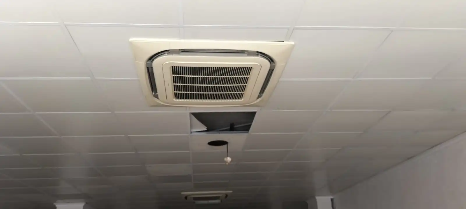 Local comercial de lloguer a Avenida HERMANOS BOU 19, imagen 6