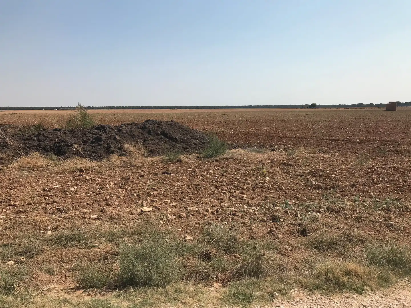 Terreni e lotti in vendita a Las Mesas, imagen 17