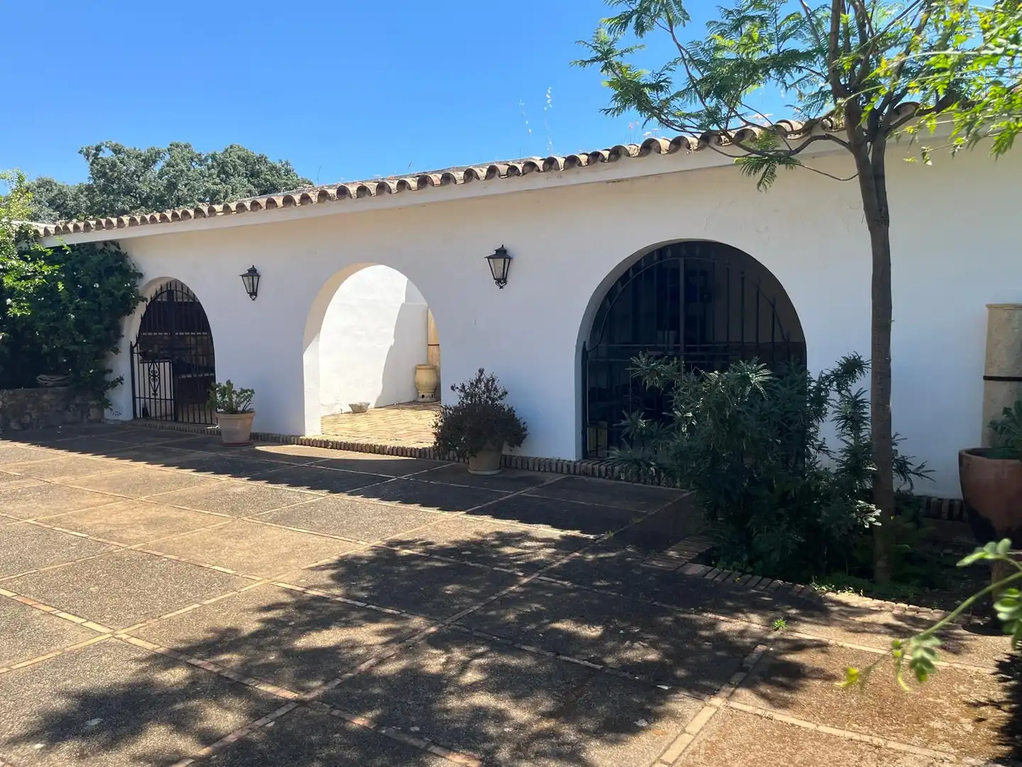 Exterior view of Houses for sale in Córdoba  with Private garden, Terrace and Storage room