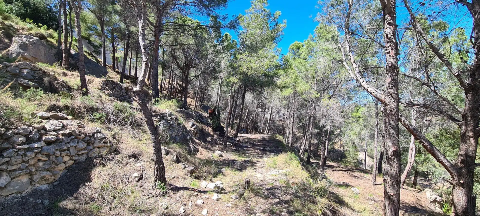 Residential land for sale in Oltamar - Cucarres, imagen 8